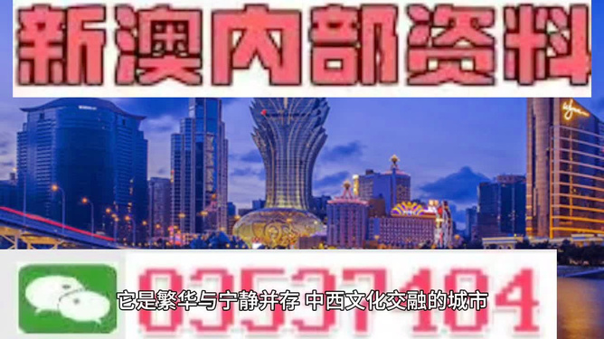 澳門資料大全——正版資料的深度解析，澳門資料大全深度解析，正版資料獨家解讀