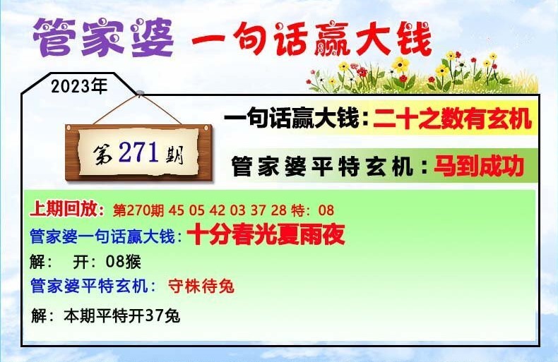 揭秘202管家婆一肖一碼，解碼神秘數(shù)字的魅力，揭秘神秘數(shù)字魅力，解碼管家婆一肖一碼的秘密