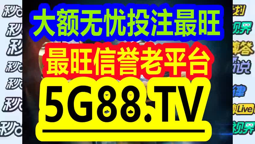 管家婆一碼中獎(jiǎng)——揭秘彩票背后的故事，揭秘彩票背后的故事，管家婆一碼中獎(jiǎng)的神秘面紗