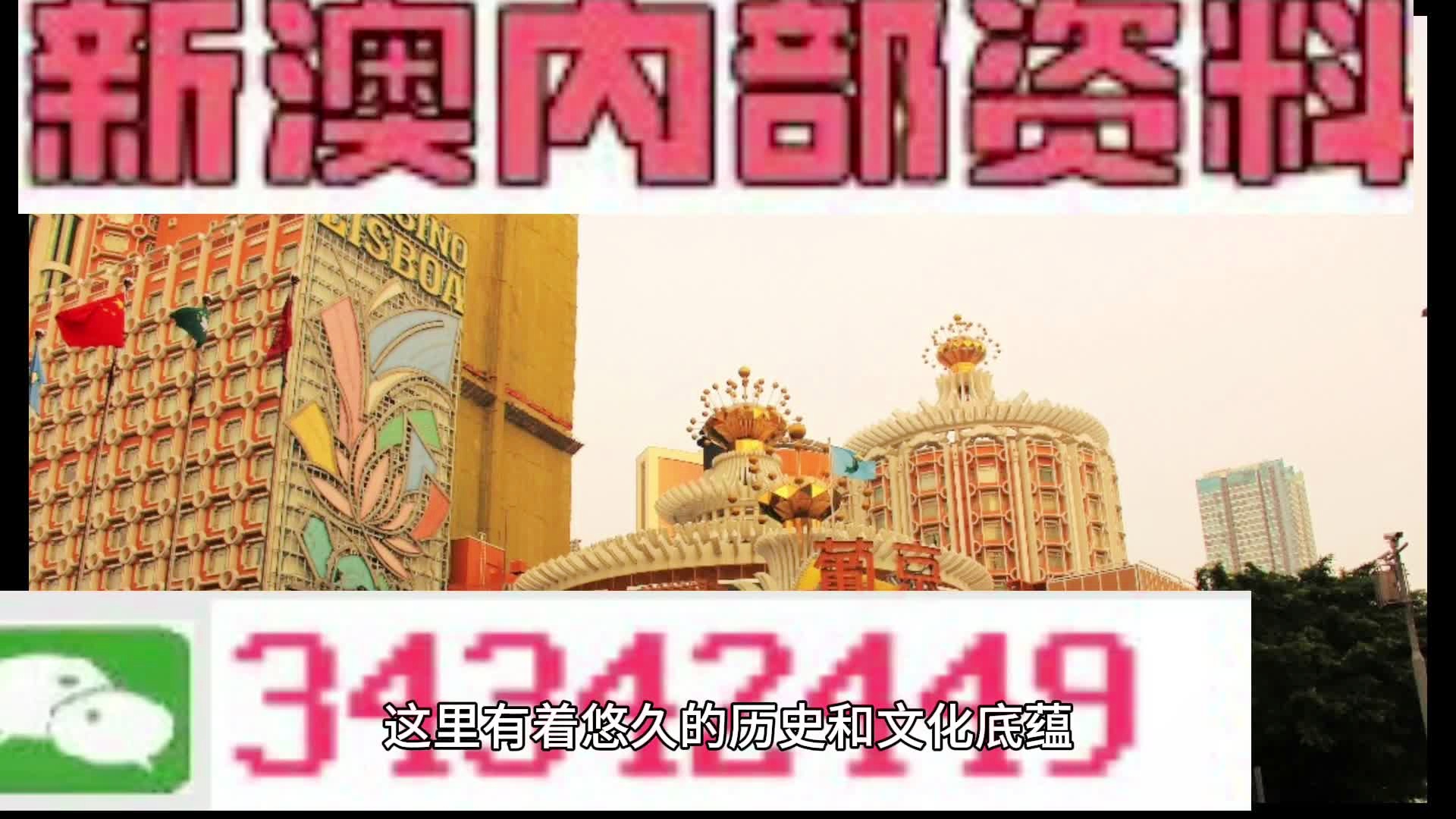 澳門最精準(zhǔn)免費(fèi)資料大全特色，澳門最全免費(fèi)資料大全特色解析
