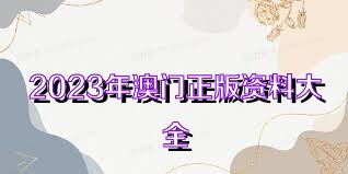2025年澳門正版資料大全公開，探索與揭秘，澳門正版資料大全揭秘，探索2025年澳門公開信息