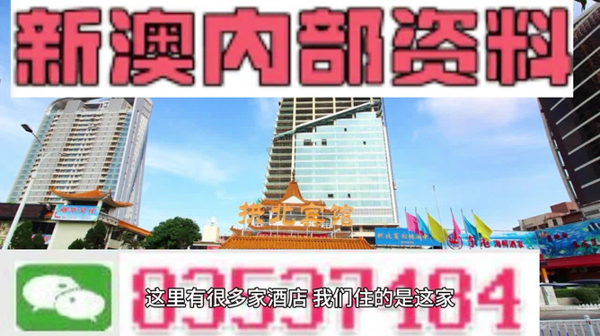 新澳門正版免費資料怎么查，澳門正版免費資料查詢指南