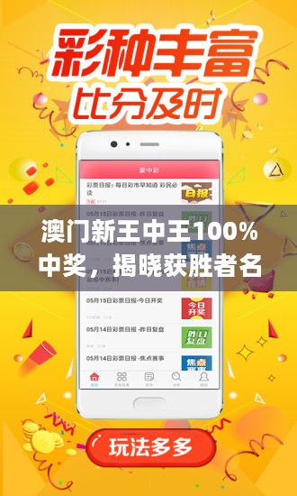 揭秘新澳門(mén)王中王，100%期期中背后的秘密，揭秘新澳門(mén)王中王期期中秘密大揭秘