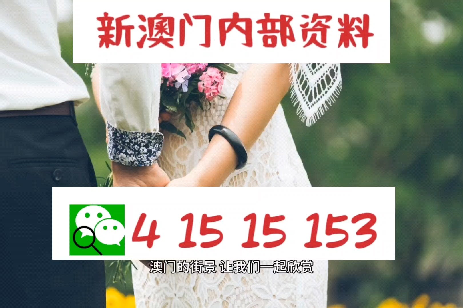 新澳新澳門正版資料，新澳新澳門正版資料概覽