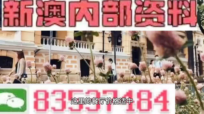 澳門(mén)最精準(zhǔn)免費(fèi)資料大全旅游團(tuán)——探索澳門(mén)魅力的絕佳選擇，澳門(mén)旅游團(tuán)，探索澳門(mén)魅力的精準(zhǔn)免費(fèi)資料大全