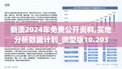 2025新澳精準免費大全,動態(tài)評估說明_6