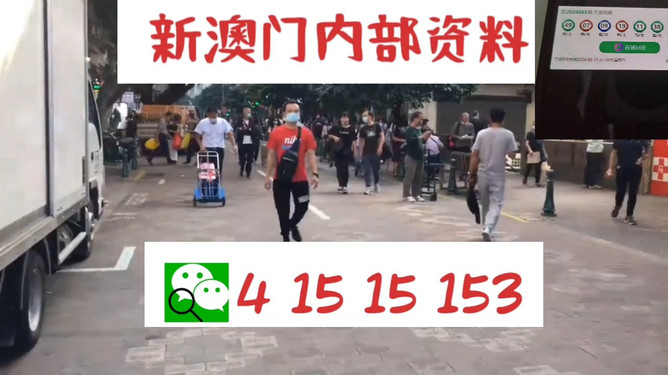 揭秘77778888管家婆老家必中之謎，一網(wǎng)打盡的背后故事，揭秘77778888管家婆，老家必中之謎的背后真相一網(wǎng)打盡