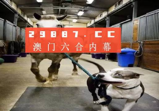 澳門一肖一碼一必中，同舟共濟(jì)勇前進(jìn)，澳門一肖一碼精準(zhǔn)預(yù)測(cè)，同舟共濟(jì)勇攀高峰