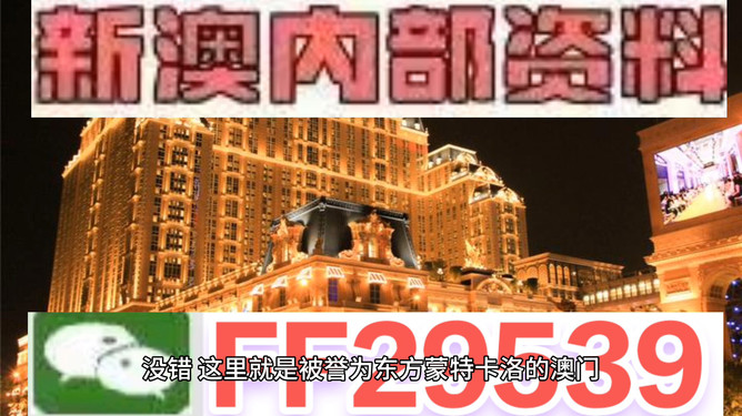 探索未來，2025年澳門特馬之夜，探索未來，澳門特馬之夜 2025展望
