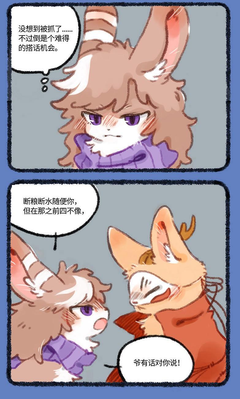 四不像的神秘面紗，今晚必中一肖揭秘，四不像神秘面紗揭曉，今晚生肖揭秘一探究竟