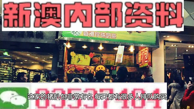 2025新澳精準(zhǔn)資料大全，探索與解析，2025新澳精準(zhǔn)資料大全，深度探索與全面解析