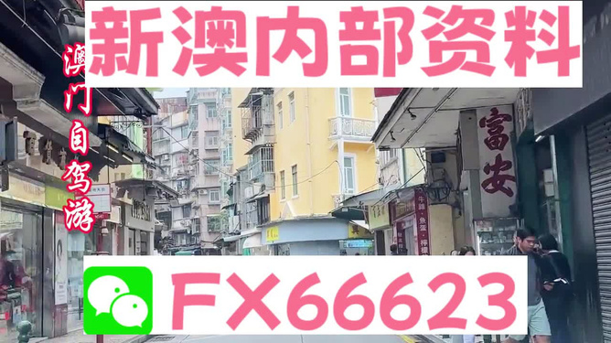 新澳精準資料大揭秘，免費提供的背后真相，新澳精準資料揭秘，免費提供的背后真相