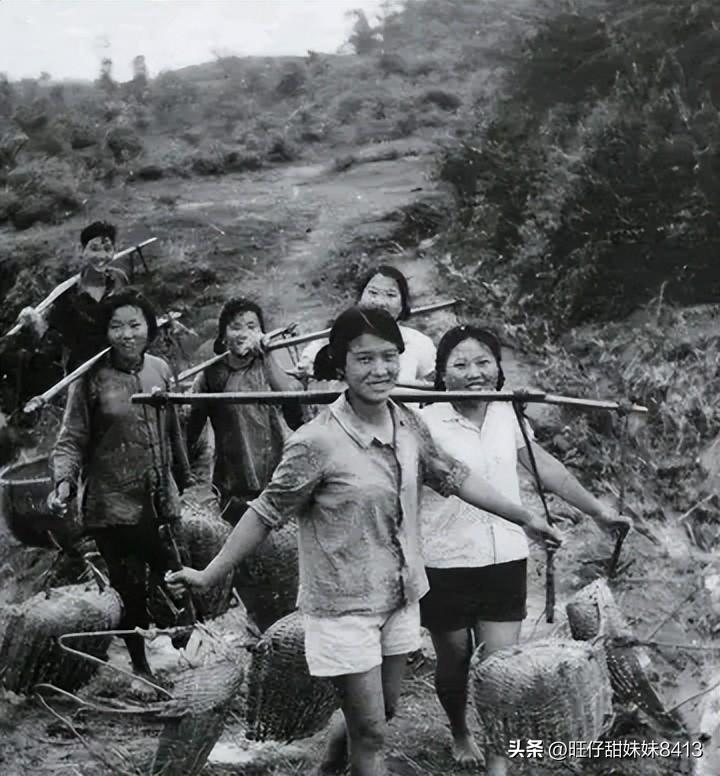 免費(fèi)下載49圖庫，海量美圖資源一網(wǎng)打盡，海量美圖資源免費(fèi)下載，49圖庫一網(wǎng)打盡