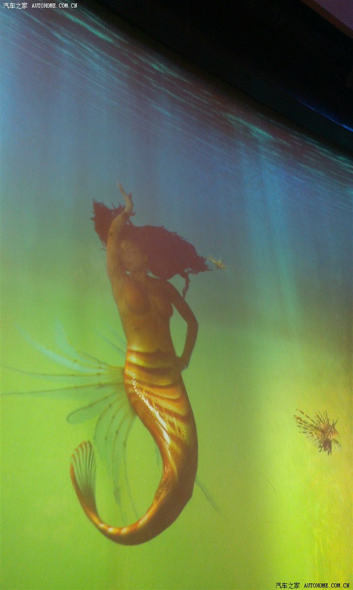 澳門美人魚，澳門美人魚表演，魅力海洋的夢幻之旅