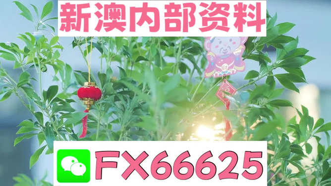 新澳精準(zhǔn)資料免費(fèi)提供網(wǎng)站，新澳精準(zhǔn)資料免費(fèi)分享平臺(tái)