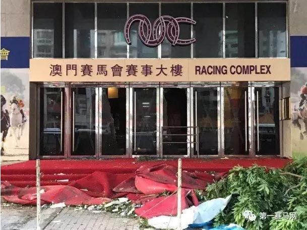 馬會傳真資料2025澳門——未來展望與機(jī)遇，澳門未來展望與機(jī)遇，馬會傳真資料2025