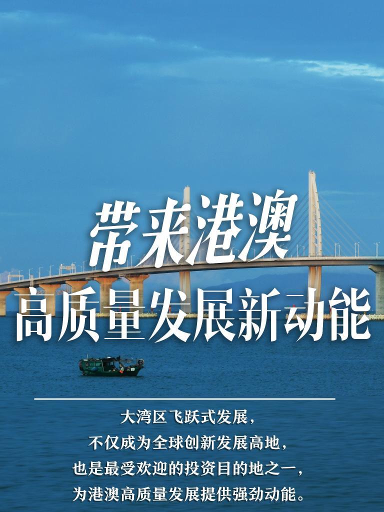 揭秘2025新澳門(mén)精準(zhǔn)免費(fèi)大全，揭秘2025新澳門(mén)精準(zhǔn)免費(fèi)大全資料全解析