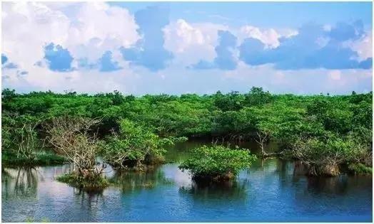 揭秘澳門特馬開獎(jiǎng)背后的故事，2025年澳門特馬今晚開獎(jiǎng)第138期，澳門特馬開獎(jiǎng)揭秘，第138期背后的故事與今晚開獎(jiǎng)?lì)A(yù)告