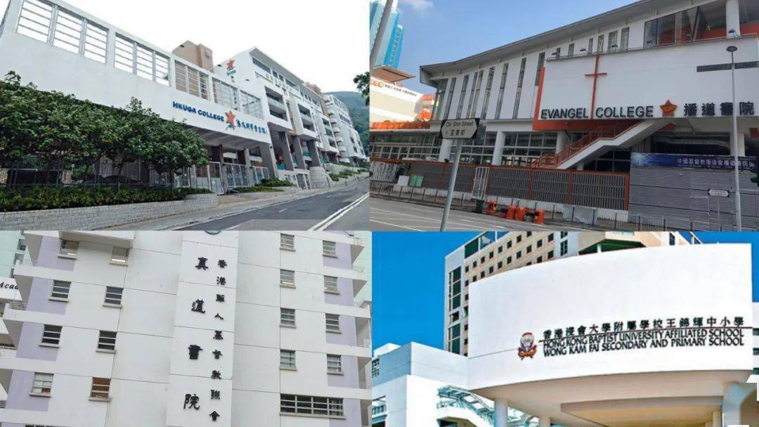 香港免費公開資料大全，香港免費公開資料大全概覽