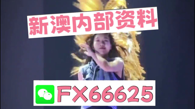 新澳門內部一碼精準公開，澳門內部一碼精準公開揭秘