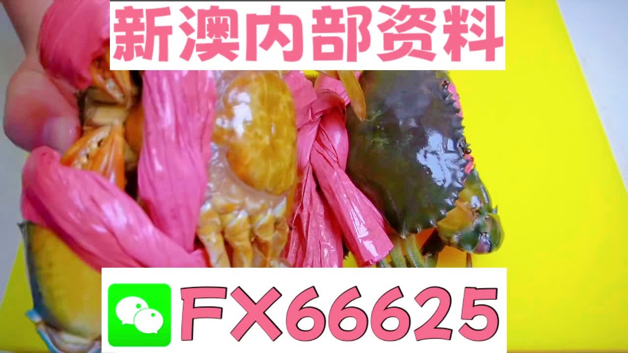 揭秘2025新澳精準(zhǔn)資料大全，深度解析與概述，揭秘2025新澳精準(zhǔn)資料大全，深度解析與全面概述