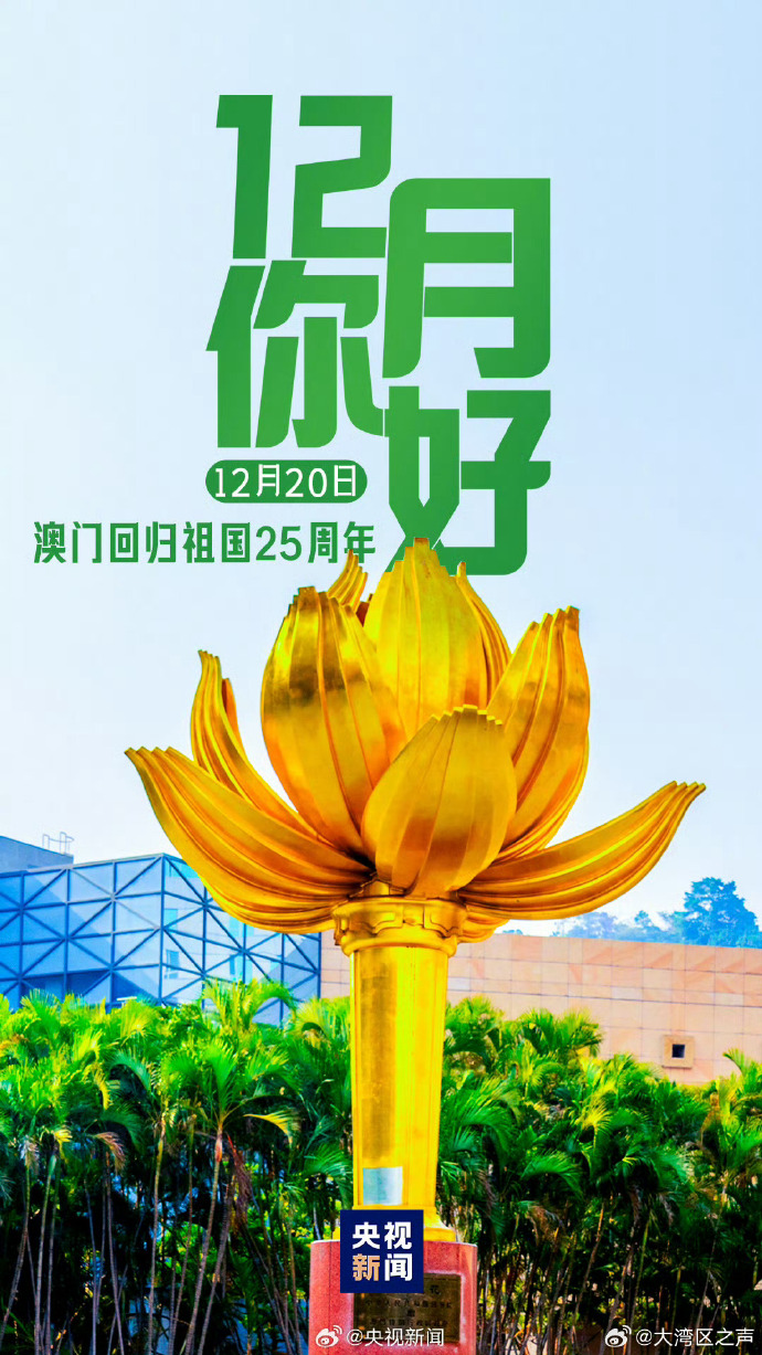 新澳門2025天天開好，未來繁榮的十大展望，澳門未來展望，繁榮發(fā)展的十大趨勢至2025年天天向好發(fā)展