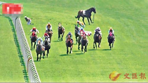 香港資料大全正版資料2025年免費(fèi)四柱，馬報(bào)熱門資訊概覽，香港資料正版資訊概覽，四柱預(yù)測(cè)與馬報(bào)熱門資訊免費(fèi)解讀