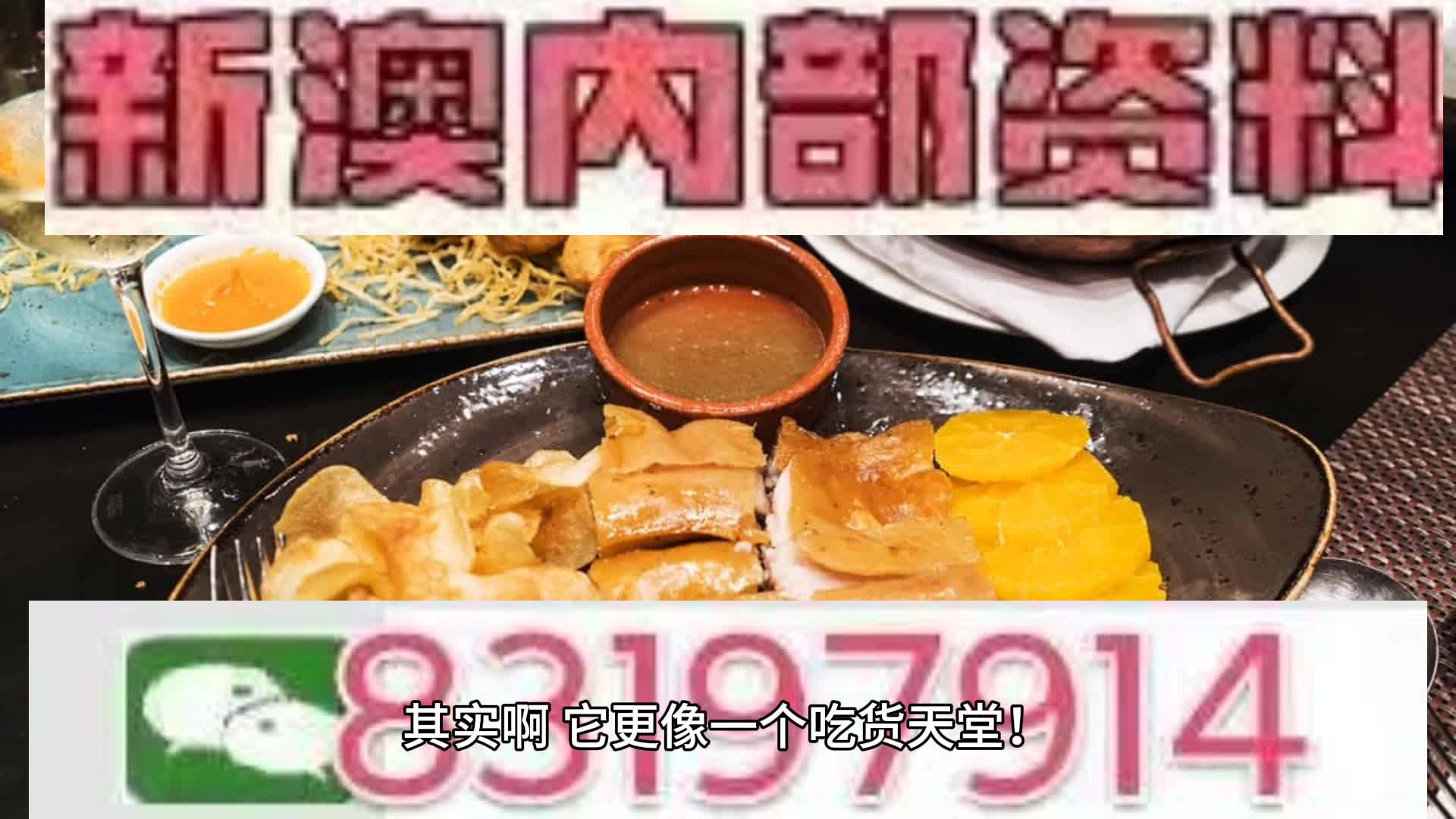 新澳2025年一肖一馬中特展望，新澳未來展望，2025年一肖一馬中特的期待與預(yù)測(cè)