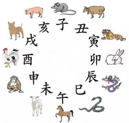 澳門天天彩期期精準(zhǔn)十二生肖，揭秘彩票背后的秘密，揭秘彩票背后的秘密，澳門天天彩期期精準(zhǔn)的十二生肖預(yù)測