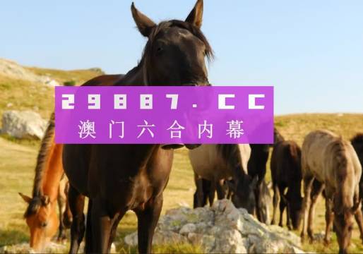 管家婆最準(zhǔn)一肖一碼澳門碼，管家婆精準(zhǔn)預(yù)測(cè)澳門一肖一碼