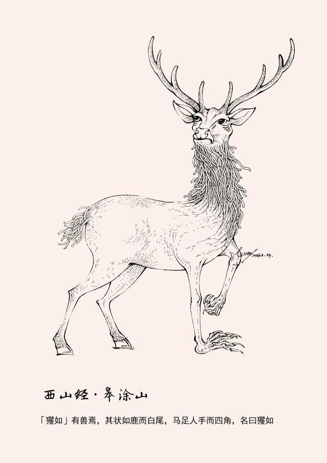 四不像的神秘面紗，今晚必中一肖揭秘，四不像神秘面紗揭曉，今晚生肖揭秘一探究竟