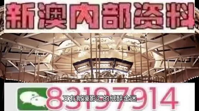 澳門今晚開特馬 開獎結(jié)果，澳門特馬今晚開獎結(jié)果揭曉