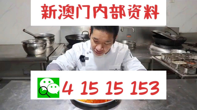 澳門管家婆資料一碼一特全解析，澳門管家婆資料一碼全解析揭秘