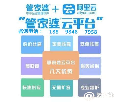 揭秘管家婆的資料一肖中特之謎，揭秘管家婆資料中的生肖特等獎(jiǎng)之謎