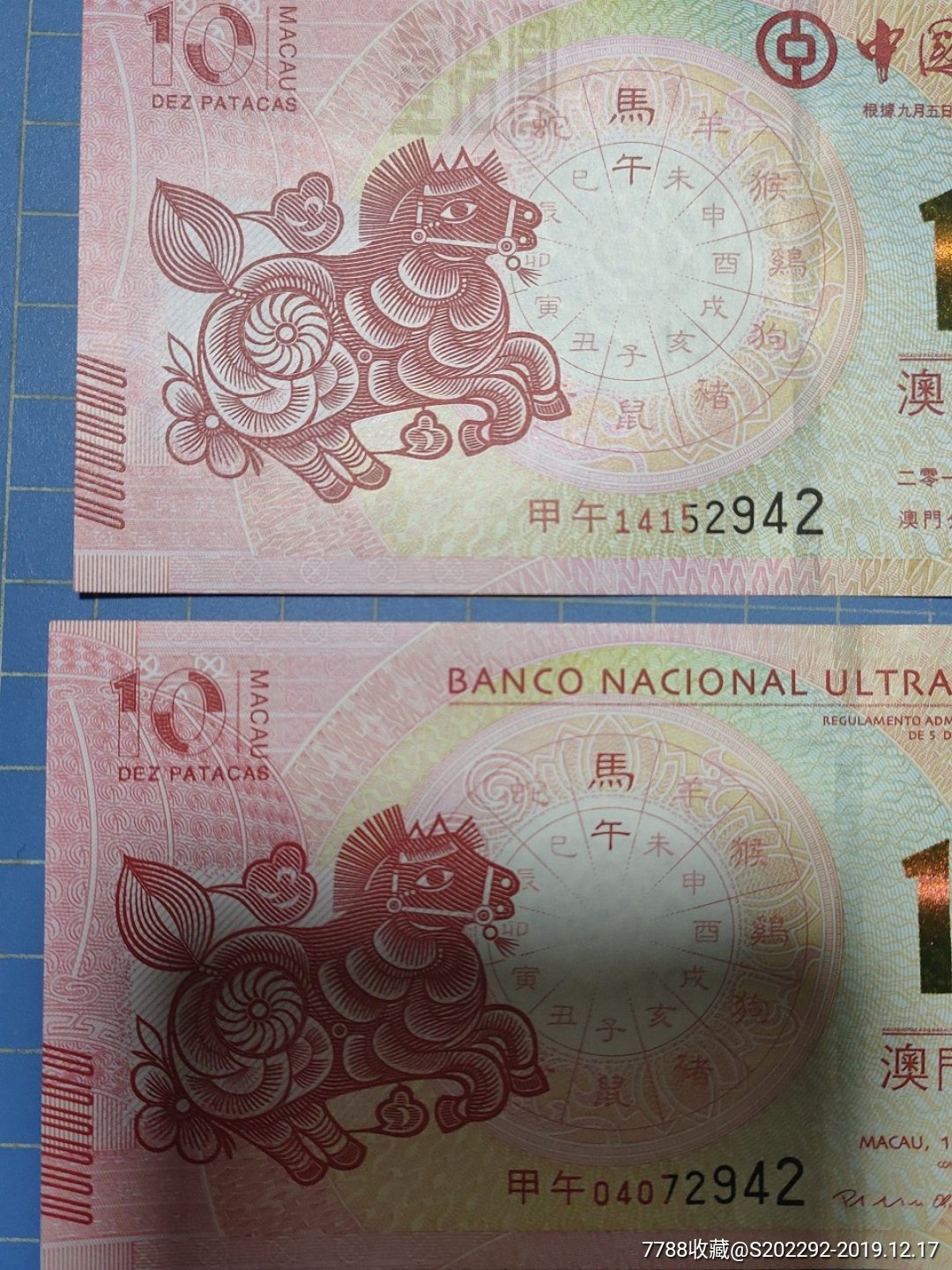 澳門馬的十二生肖是什么？帶你一探究竟，澳門馬的十二生肖揭秘，一探究竟
