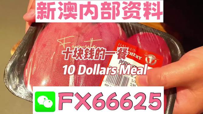 新澳2025年精準(zhǔn)資料，新澳2025年精準(zhǔn)資料概覽