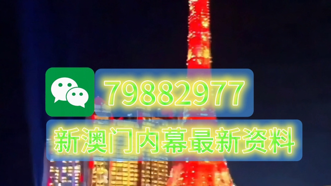 2025年今晚澳門特馬，澳門特馬預(yù)測(cè)與未來趨勢(shì)分析