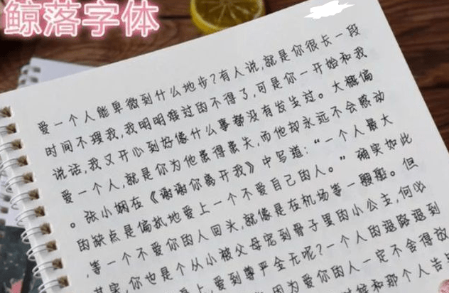 新澳門正牌掛牌之全篇，新澳門正牌掛牌詳解
