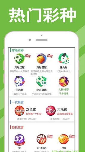 新澳天天開獎(jiǎng)資料大全600tK，一網(wǎng)打盡彩票資訊，新澳天天開獎(jiǎng)資料大全，一網(wǎng)打盡彩票資訊，600tK全掌握！
