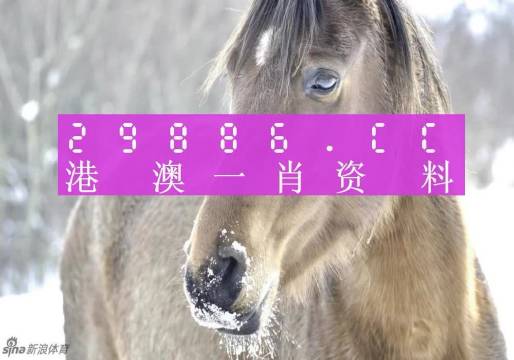澳門一肖一碼100‰，澳門一肖一碼預(yù)測百分百準(zhǔn)確揭秘