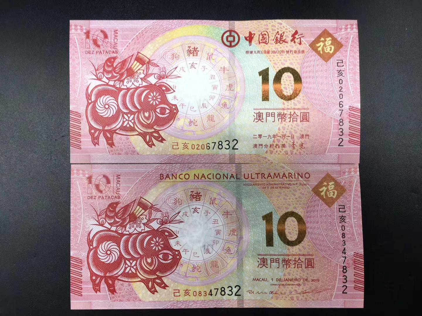 澳門天天彩期期精準(zhǔn)十二生肖，澳門天天彩期期精準(zhǔn)十二生肖預(yù)測