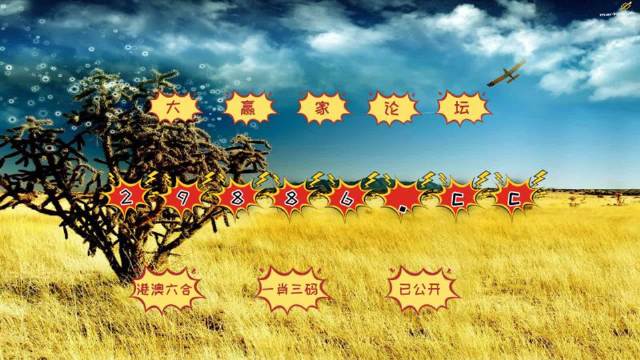 4949澳門今晚開獎，澳門今晚開獎結果揭曉